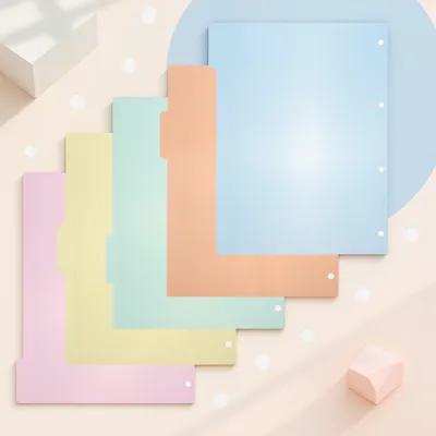 Index Tab Divider - 10개입 플라스틱 분리대, 다채로운 색상, 부드러운
